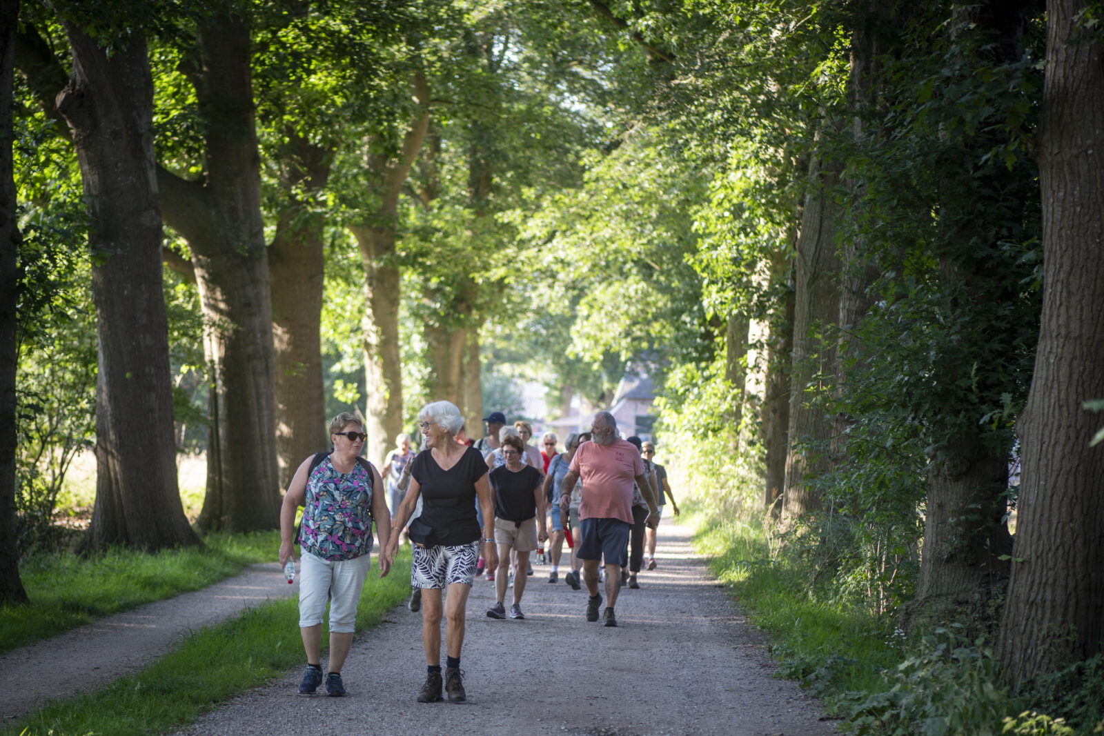 Wandel Challenge