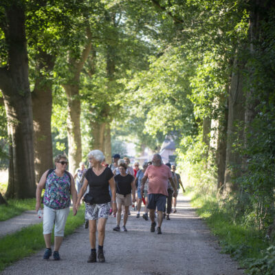 Wandel Challenge